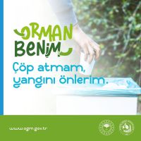 Türkiye'de Orman Yangınlarına Karşı