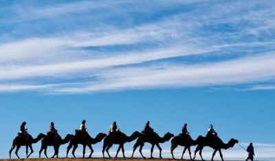 Suudi Arabistan'da Deve Sektörüne 